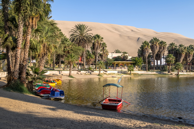 From Lima: Paracas, Huacachina, and Chincha Day Trip