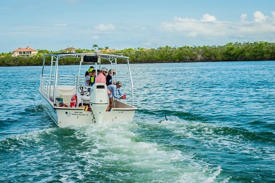 Marco Island Dolphin Watching Boat Tour Getyourguide