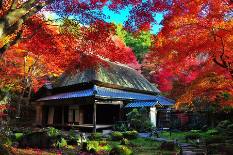Tour autunnale dei templi Enryaku-ji e KyorinboParti da Kyoto