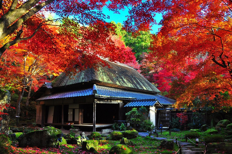 Tour autunnale dei templi Enryaku-ji e KyorinboParti da Kyoto