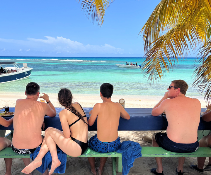 Saona Island: Cruise of Virgin Beaches and Turtle Nursery
