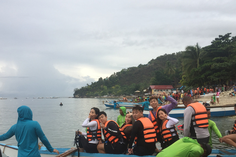 Cebu: Nadar com tubarões-baleia em OslobCebu: Natação com tubarões-baleia em Oslob