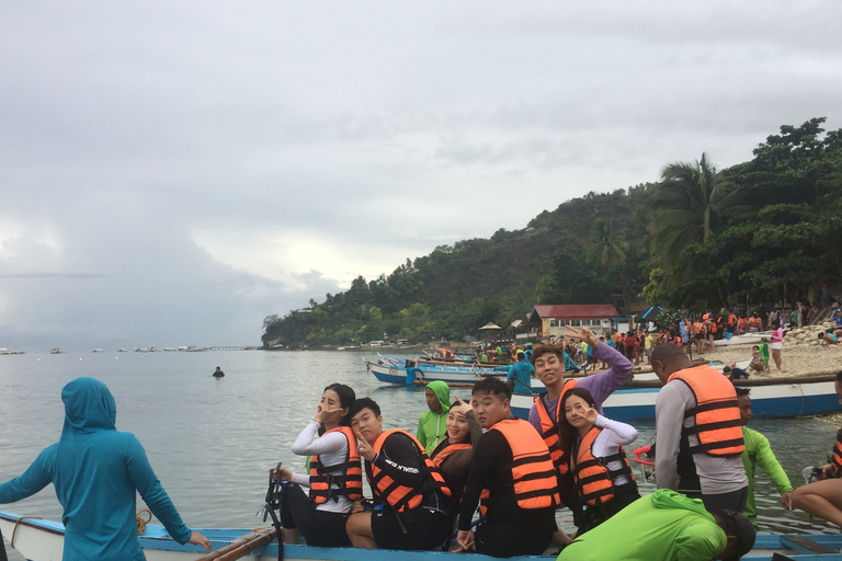 Cebu: Nadar com tubarões-baleia em OslobCebu: Natação com tubarões-baleia em Oslob