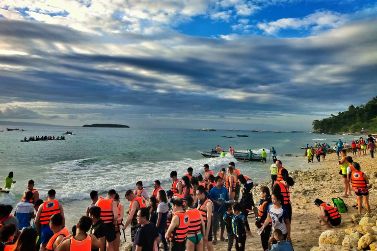 Cebu: Nadar com tubarões-baleia em OslobCebu: Natação com tubarões-baleia em Oslob