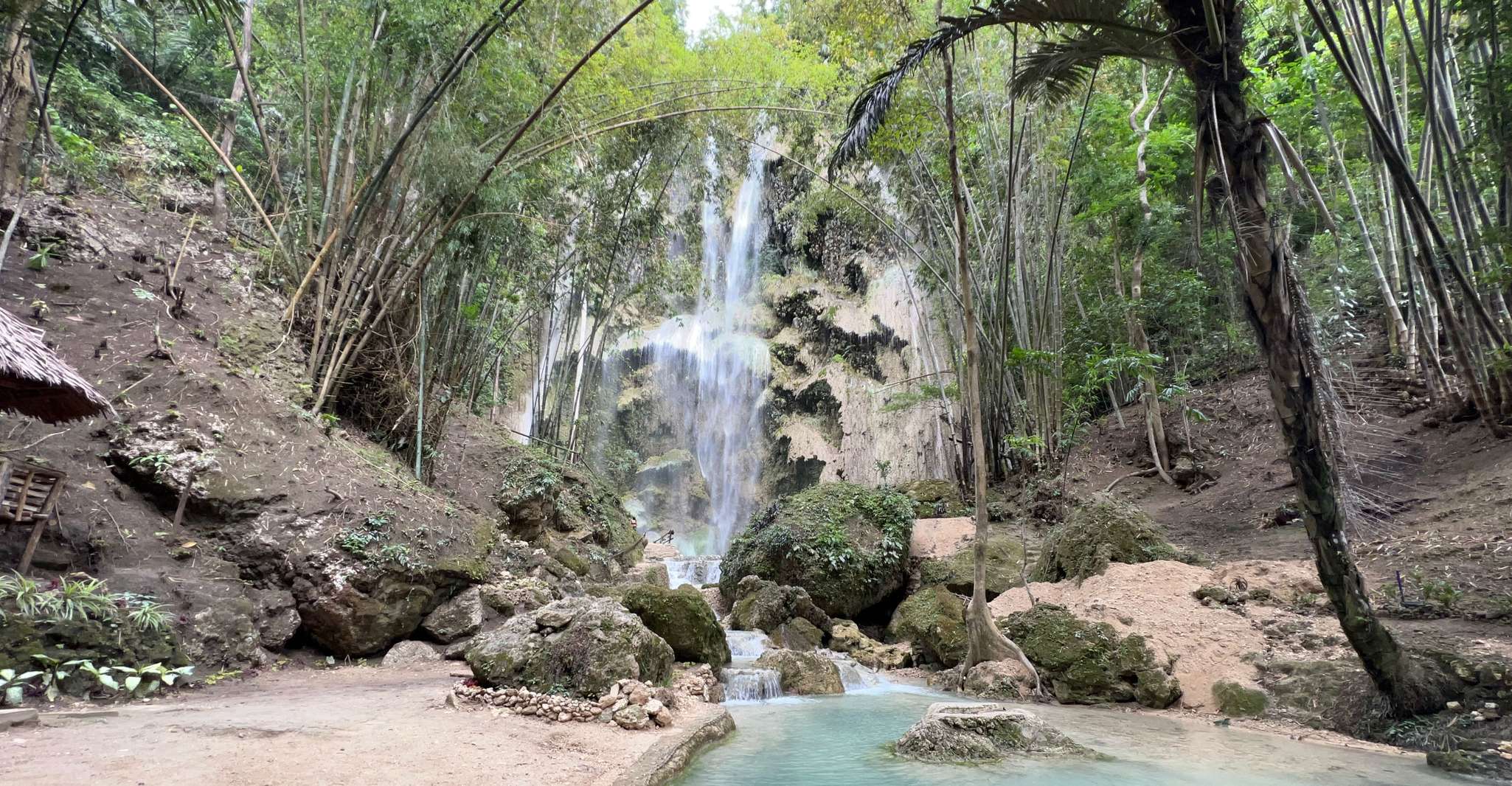 Cebu, Oslob Baignade de requin-baleine et Tumalog Falls Tour - Hizvo