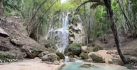 Cebu, Oslob Baignade de requin-baleine et Tumalog Falls Tour - Hizvo