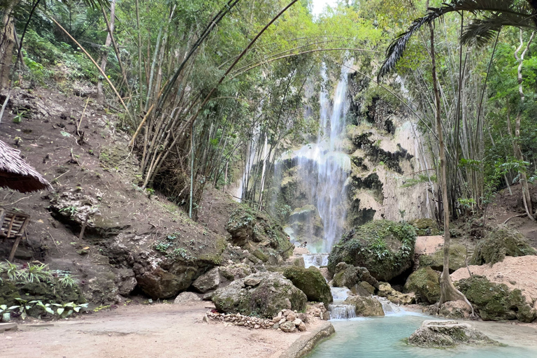 Cebu: Nadar com tubarões-baleia em OslobCebu: Natação com tubarões-baleia em Oslob