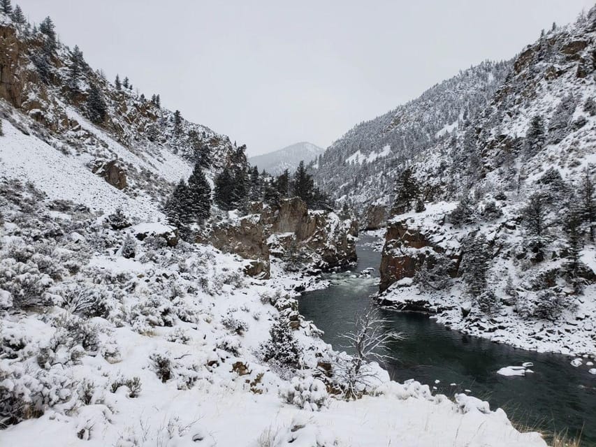 From Gardiner Yellowstone National Park Snowshoe Tour GetYourGuide