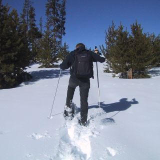 From Gardiner: Yellowstone National Park Snowshoe Tour