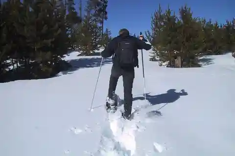 From Gardiner: Yellowstone National Park Snowshoe Tour