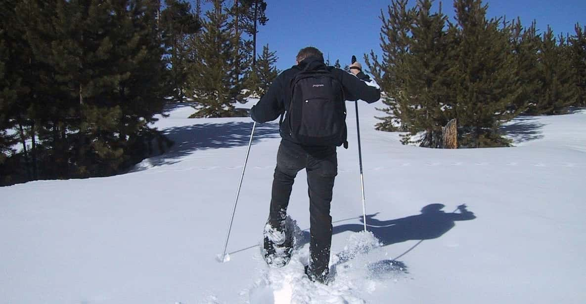 yellowstone snowmobile tours from gardiner