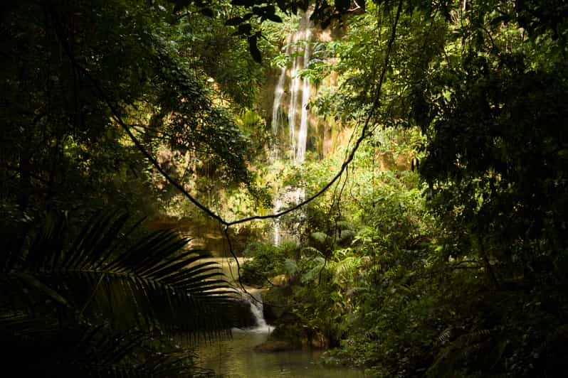 El Limón: Waterfall Hiking Tour with Lunch | GetYourGuide