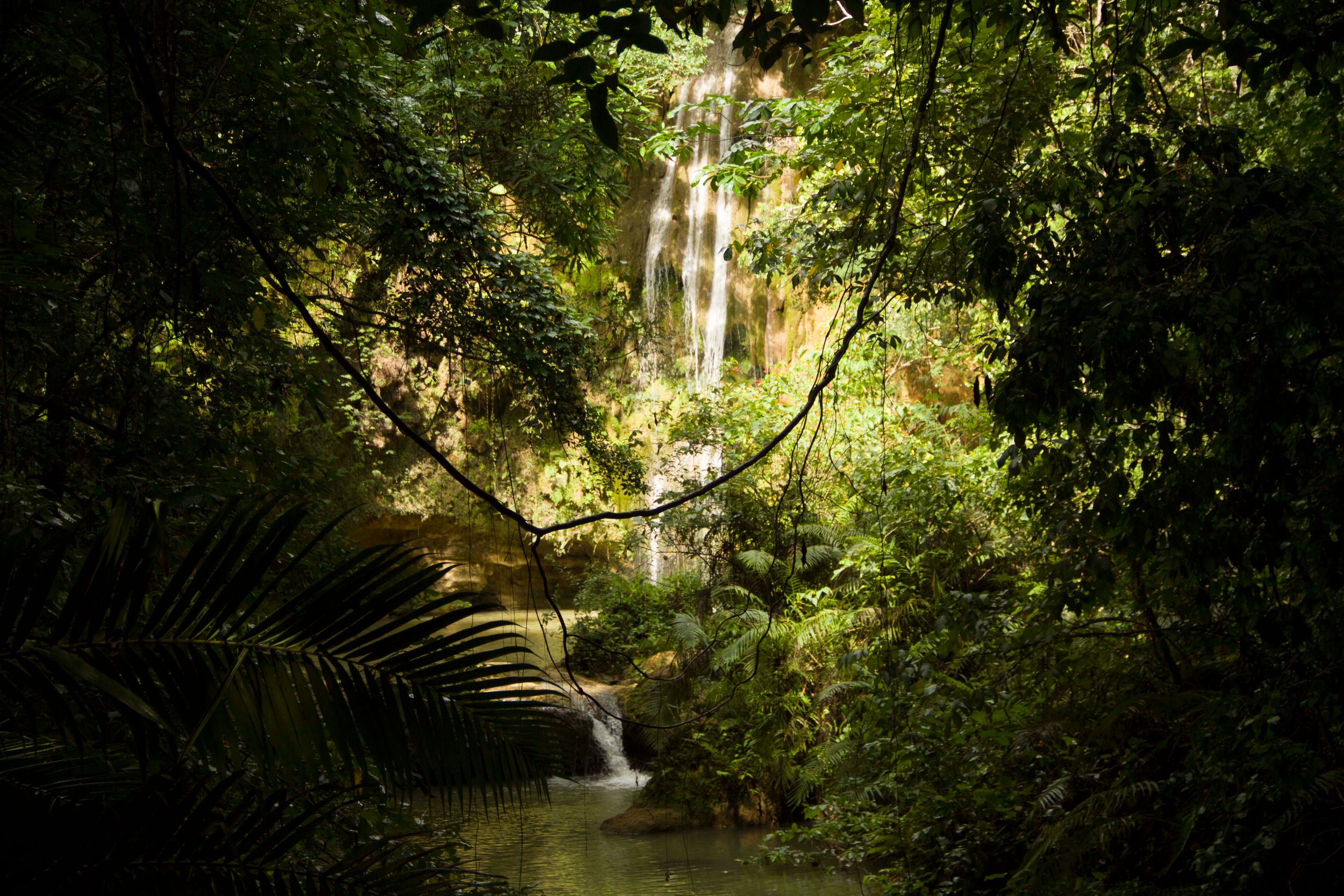 El Limón: Wandertour zum Wasserfall mit Mittagessen