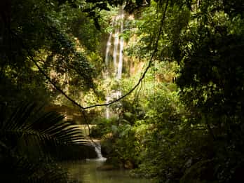 El Limón: Waterfall Hiking Tour with Lunch