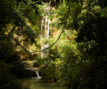 El Limón: Waterfall Hiking Tour with Lunch