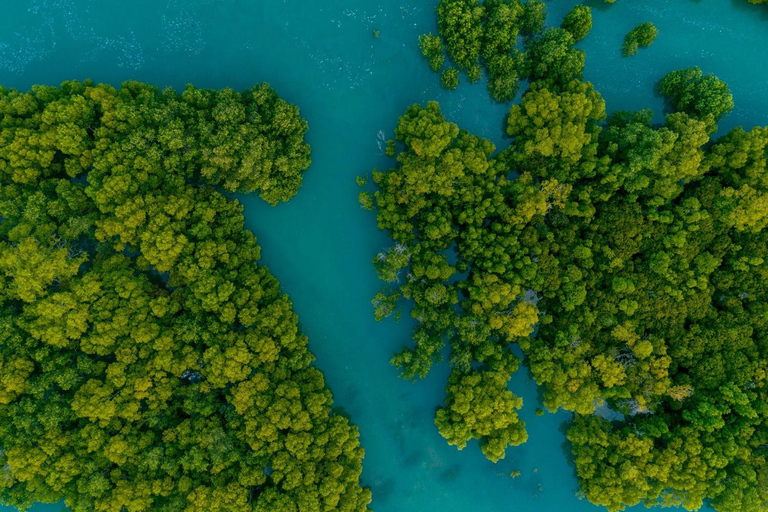 Punta Cana: Saona Island and Chavón River Combo with Guided Tours Saona Island + Chavon River