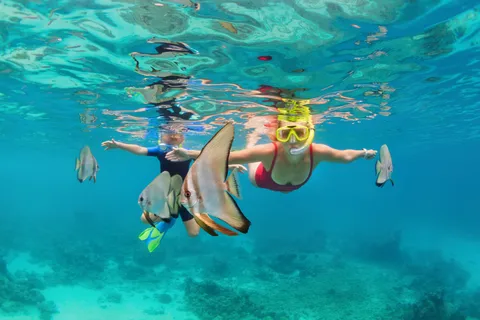 Khao Lak : Excursion d'une journée aux îles Similan avec plongée en apnée avec repas