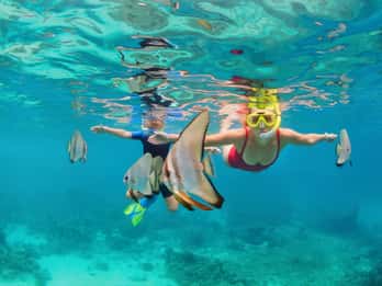 Khao Lak: Similan Islands Snorkeling Day Trip w/Meals