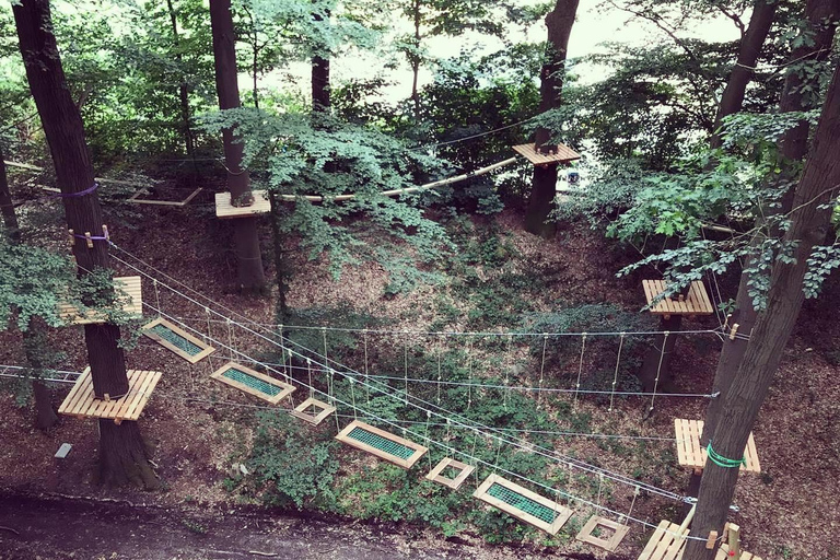 Kletterwald Sögel High Ropes Park Entry Ticket 3 Hours - Kletterwald Sögel High Ropes Park Entry Ticket