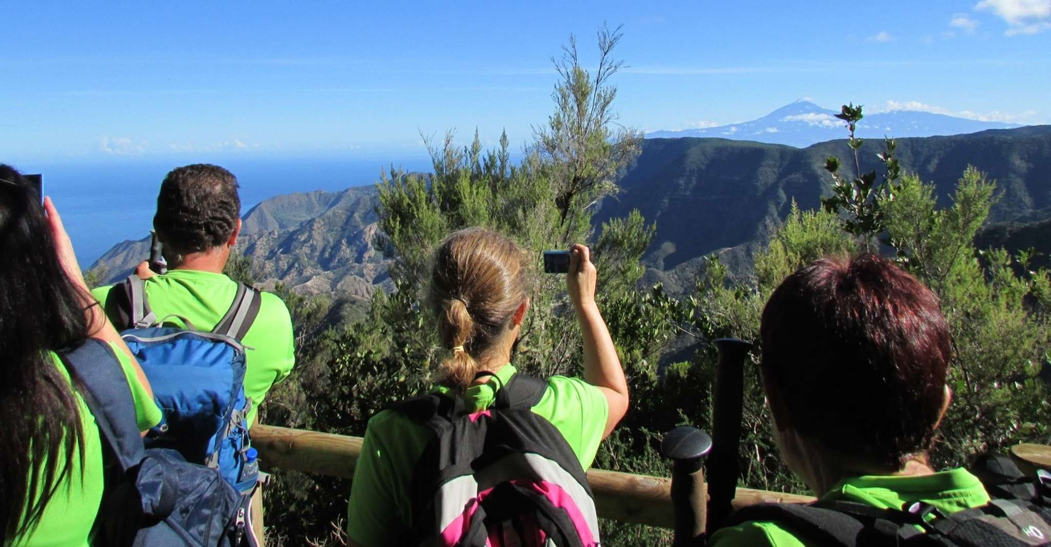 La Gomera, Garajonay National Park Forest Walk - Housity