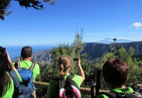 La Gomera, Caminata del Bosque del Parque Nacional Garajonay - Housity