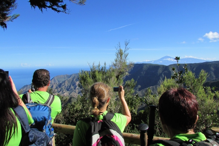 Tenerife: Garajonay National Park La Gomera boswandelingBegeleide wandeling door het bos van La Gomera met transfer