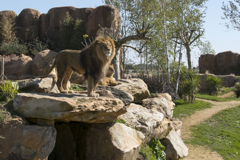 ZooParc de Beauval: Day Admission Ticket