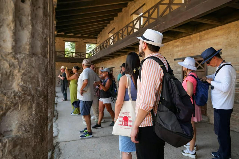 Rome: Vesuvius, Pompeii or Herculaneum by High-speed Train Pompeii Spanish Guided Tour & Vesuvio Entry ticket