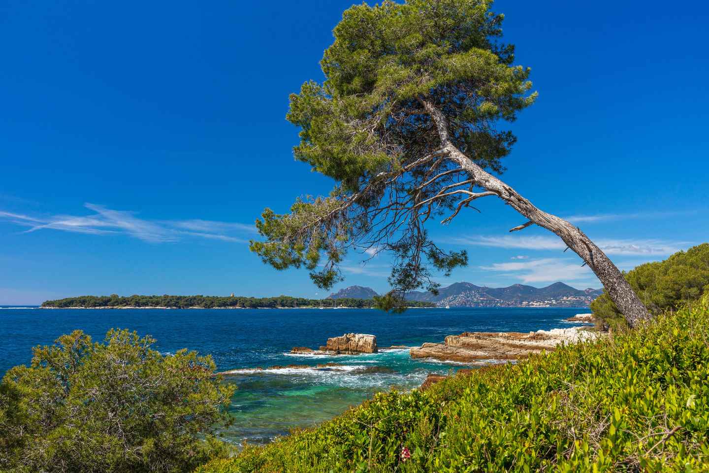 Traghetto a/r da Mandelieu-La Napoule all'Île Sainte-Marguerite, Cannes
