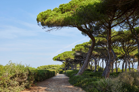 Desde Mandelieu Viaje de ida y vuelta en ferry a la isla de Santa MargaritaDesde Mandelieu: Ferry de ida y vuelta a la isla de Santa Margarita