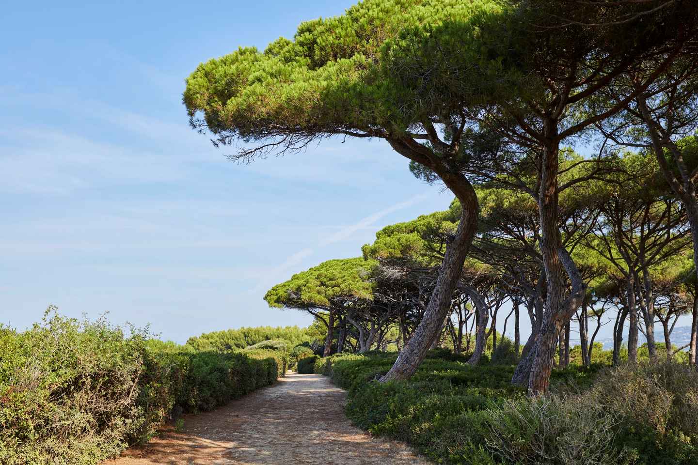 Traghetto a/r da Mandelieu-La Napoule all'Île Sainte-Marguerite, Cannes
