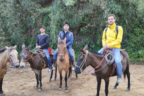 Bogotá: Horseback Riding from Guadalupe to Monserrate