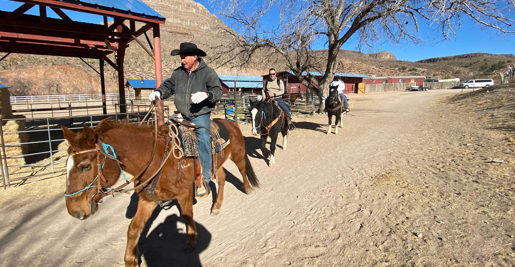 Horseback Ride thru Joshua Tree Forest avec Buffalo & Déjeuner - Hizvo