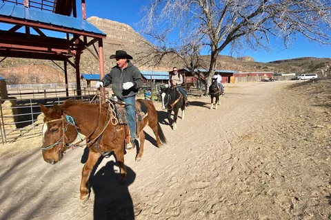 Ridning genom Joshua Tree Forest med Buffalo & Lunch