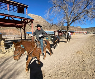 Horseback Ride thru Joshua Tree Forest with Buffalo & Lunch
