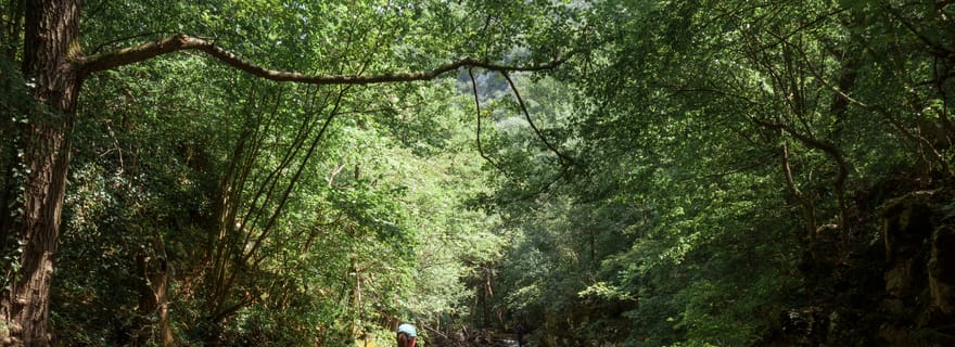 Palomino : Aventure en paddle board sur la rivière Palomino