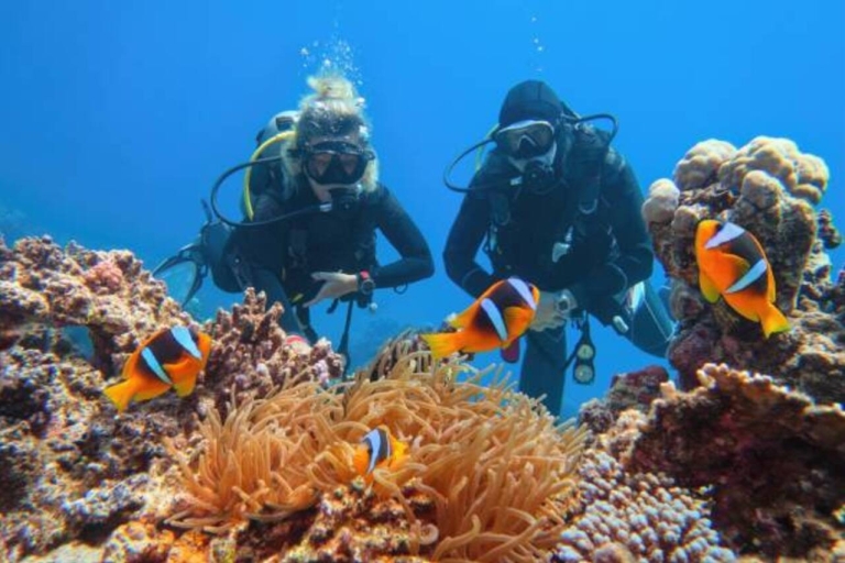 Au départ de Marsa Alam : Journée de plongée sous-marine pour débutants avec déjeuner
