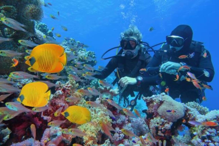From Marsa Alam: Beginners Scuba Diving Day-Trip with Lunch