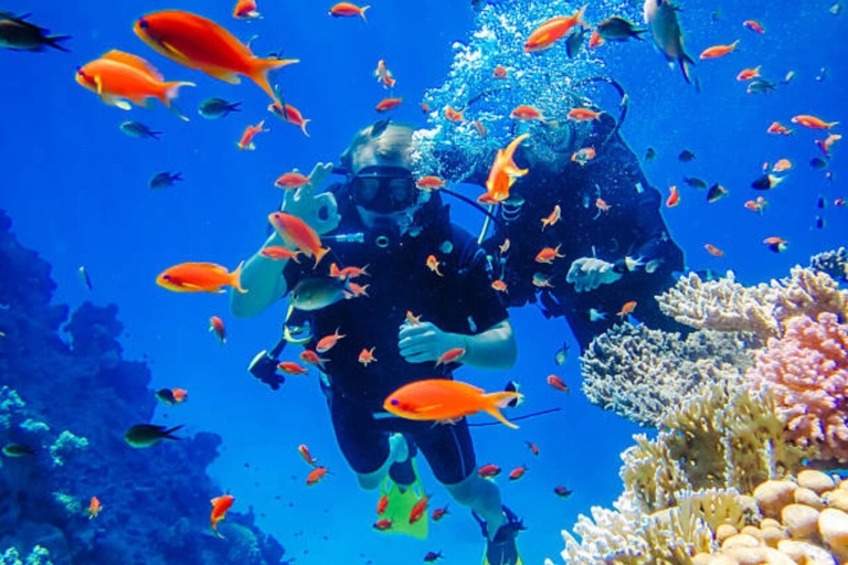 From Marsa Alam: Beginners Scuba Diving Day-Trip with Lunch