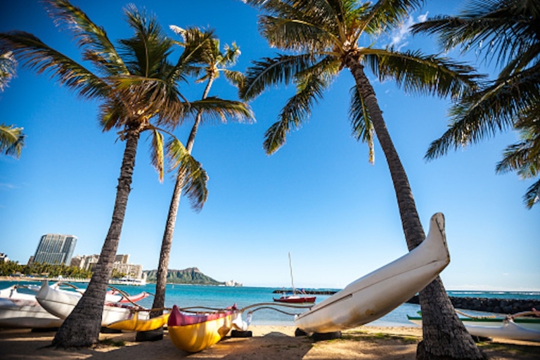 Honolulu : Excursion guidée en kayak et plongée en apnée avec les tortues de mer