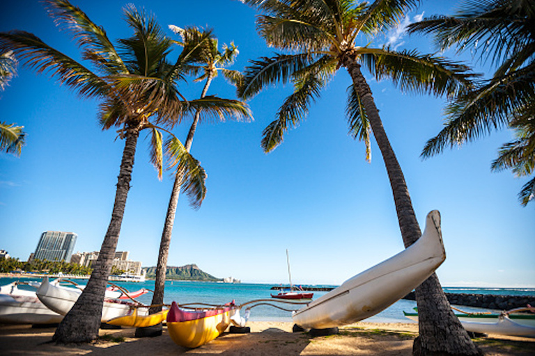 Oahu: Waikiki kajaktur och snorkling med havssköldpaddorHonolulu: Waikiki kajak tur och snorkling med havssköldpaddor