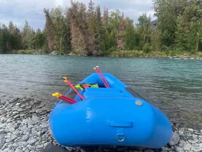 From Cooper Landing Kenai River Rafting Trip with Gear GetYourGuide