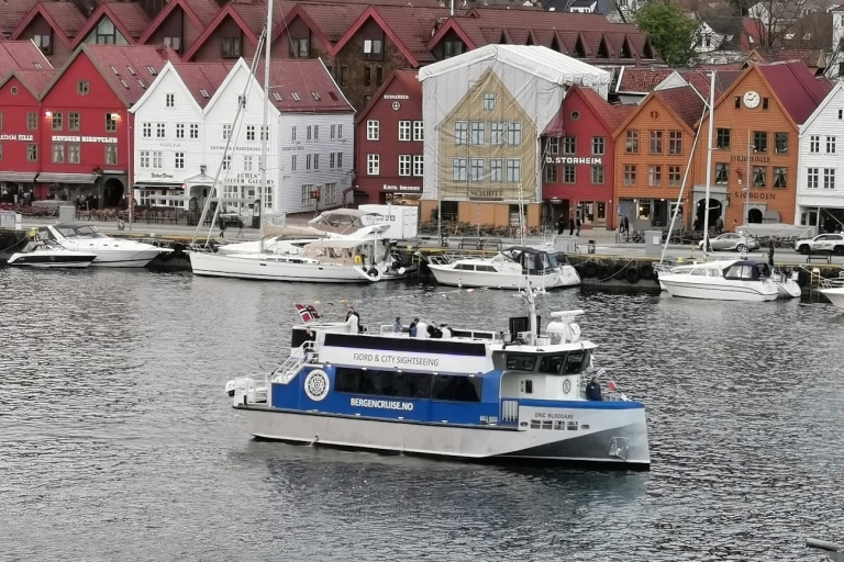 Croisière touristique dans la ville de Bergen