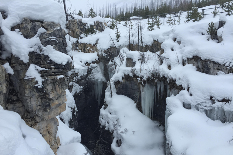 Combo de caminhada no gelo de Marble e Johnston CanyonCombinação de caminhada no gelo Marble e Johnston Canyon