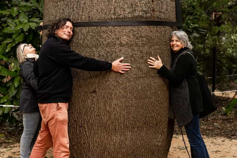 Adelaide Cultural Tour of the Adelaide Botanic Garden GetYourGuide