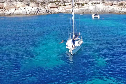 Asinara: Full Day Sailboat Excursion from Stintino