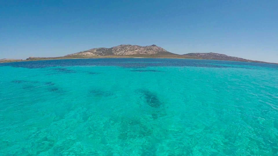Galería de fotos para redes
