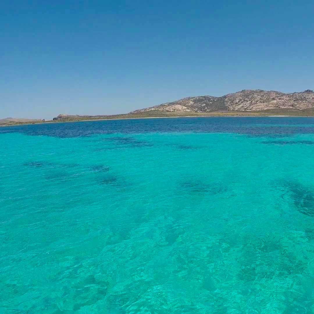 Galería de fotos para redes
