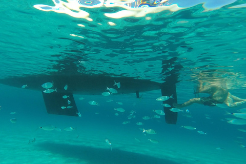 From Stintino: Asinara Sailboat Tour with Lunch Sailboat Tour and Lunch with 11 Seats