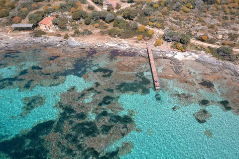 From Stintino: Asinara Sailboat Tour with Lunch Sailboat Tour and Lunch with 11 Seats
